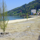 19_4_11 084_jpg-1303767609