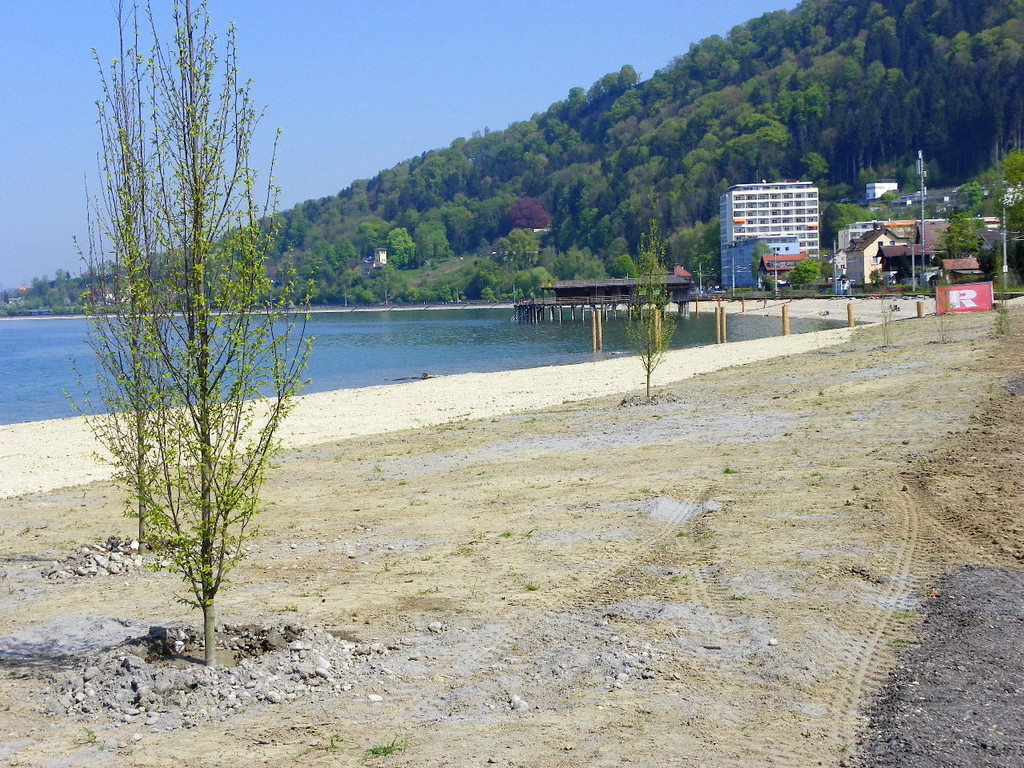 19_4_11 084_jpg-1303767609