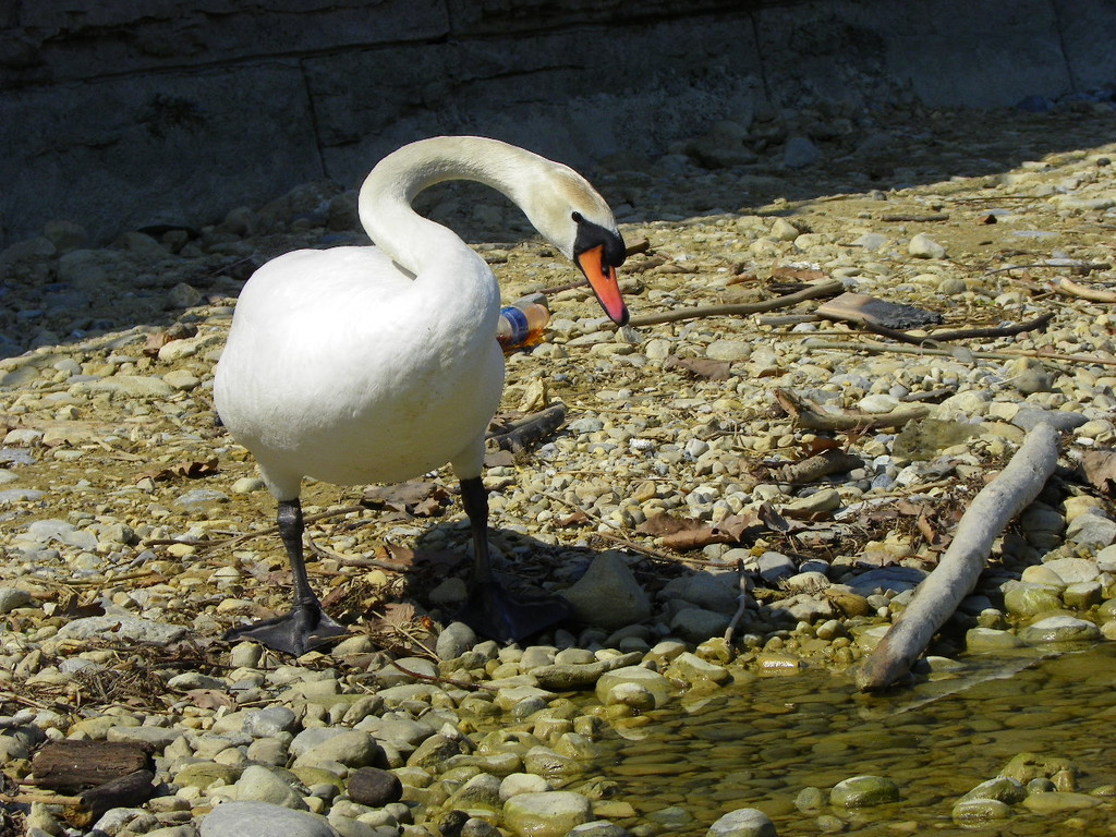 19_4_11 089_jpg-1303767616