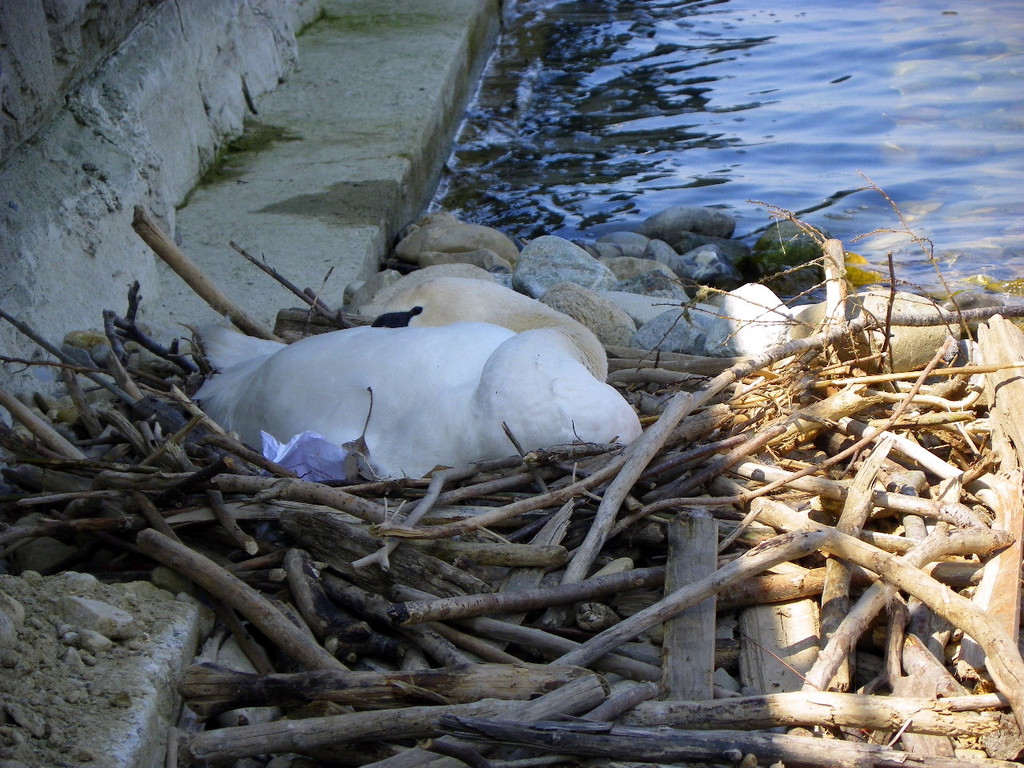 19_4_11 091_jpg-1303767623