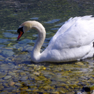 19_4_11 096_jpg-1303767638