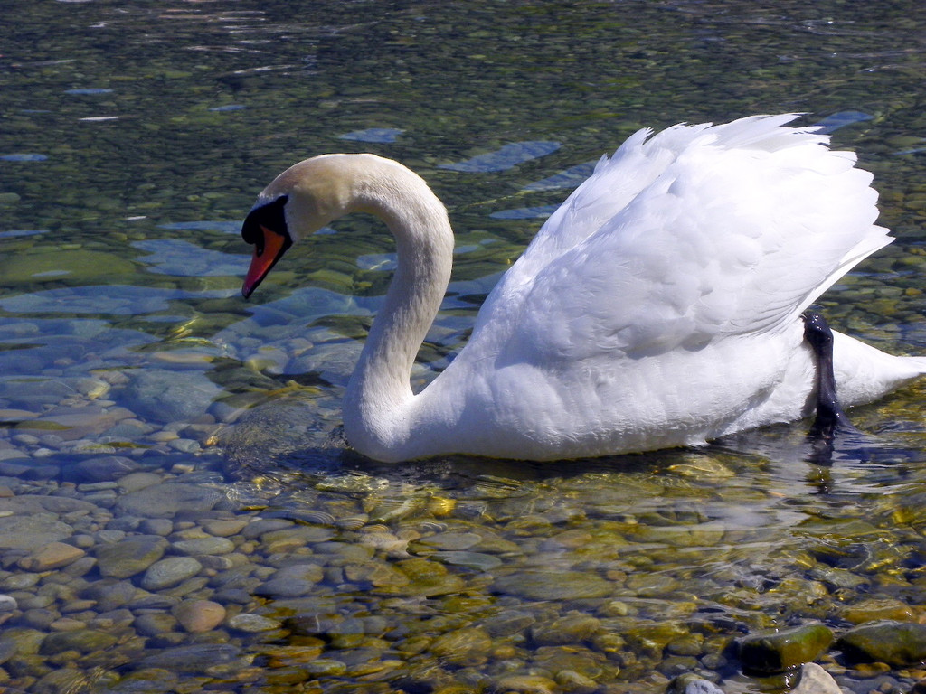 19_4_11 096_jpg-1303767638