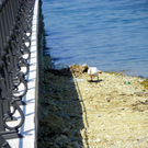 19_4_11 071_jpg-1303767652