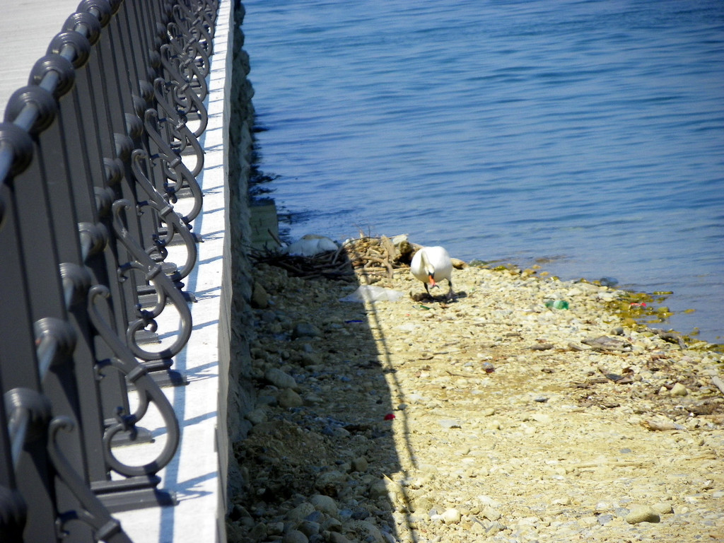 19_4_11 071_jpg-1303767652