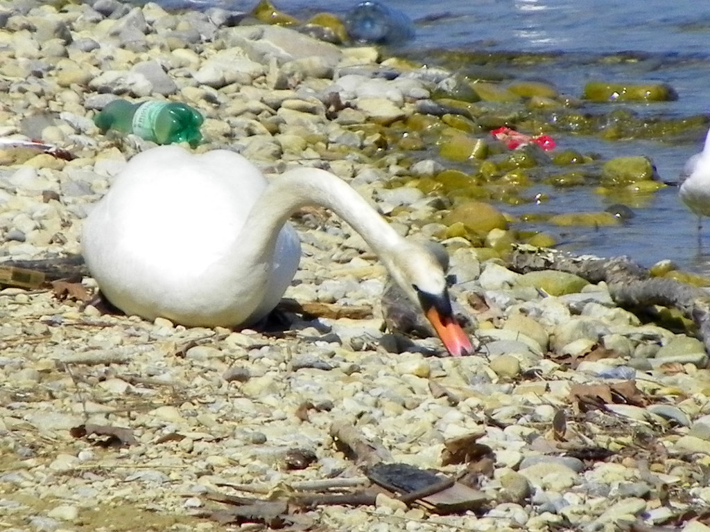 19_4_11 075_jpg-1303767659