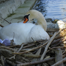 19_4_11 095_jpg-1303767631