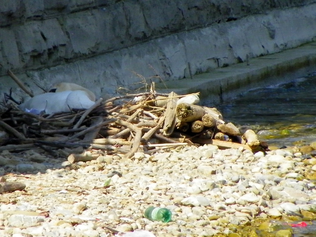 19_4_11 081_jpg-1303767679