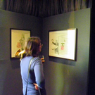 19_4_11 386_jpg-1303768953