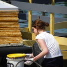 110_3522_JPG-1303770051