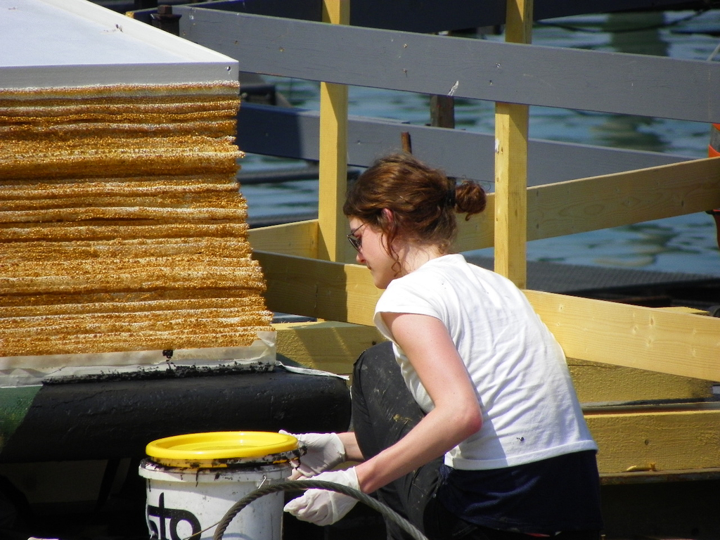 110_3522_JPG-1303770051