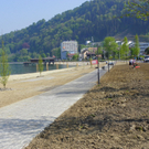 110_3313_JPG-1303772660