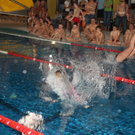 IMG_4450_Gr____enver__nderung.JPG