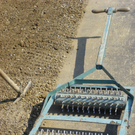 110_3305_JPG-1303772705