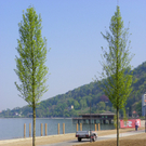 110_3308_JPG-1303772727