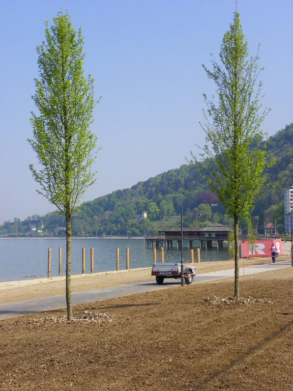 110_3308_JPG-1303772727