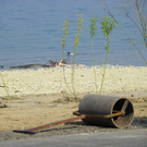 110_3309_JPG-1303772735