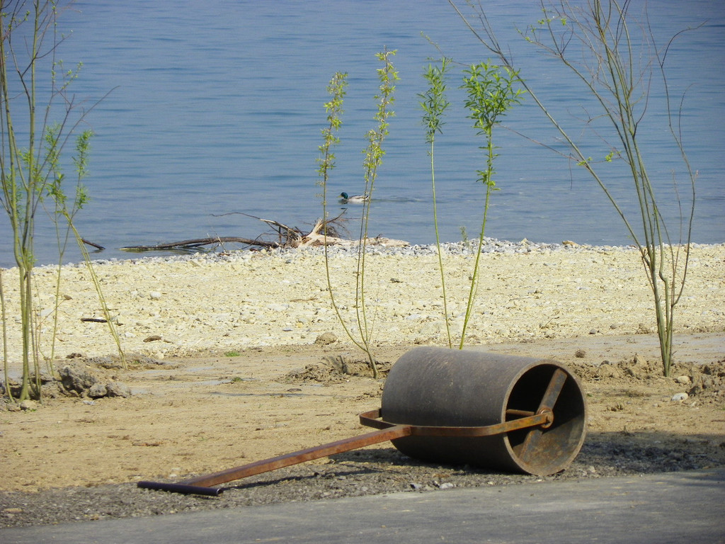 110_3309_JPG-1303772735