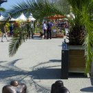 110_3617_JPG-1303775547