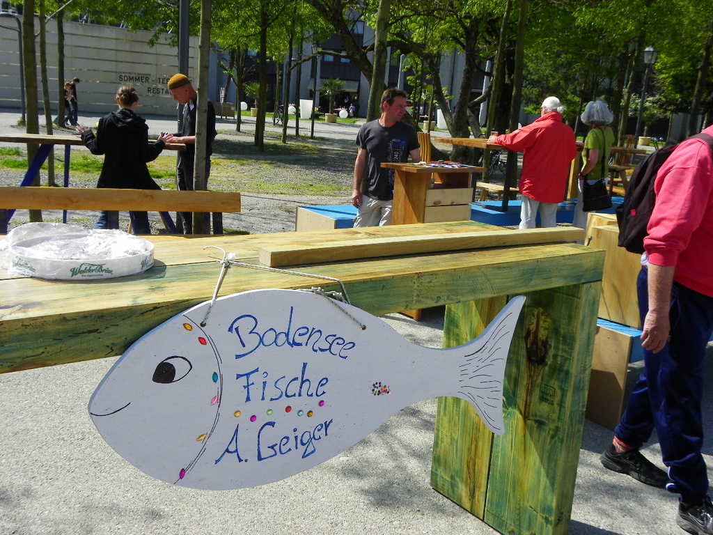 110_3623_JPG-1303775562