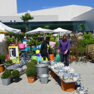 110_3629_JPG-1303775585