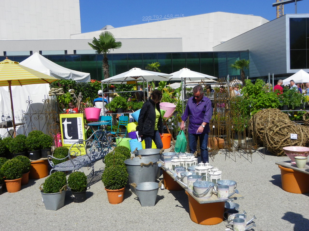 110_3629_JPG-1303775585