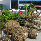 110_3634_JPG-1303775607