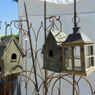 110_3644_JPG-1303775622