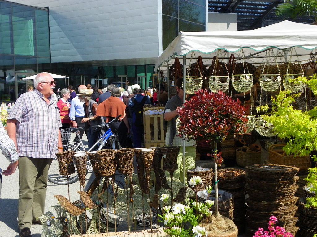 110_3651_JPG-1303775651