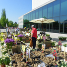 110_3662_JPG-1303775659