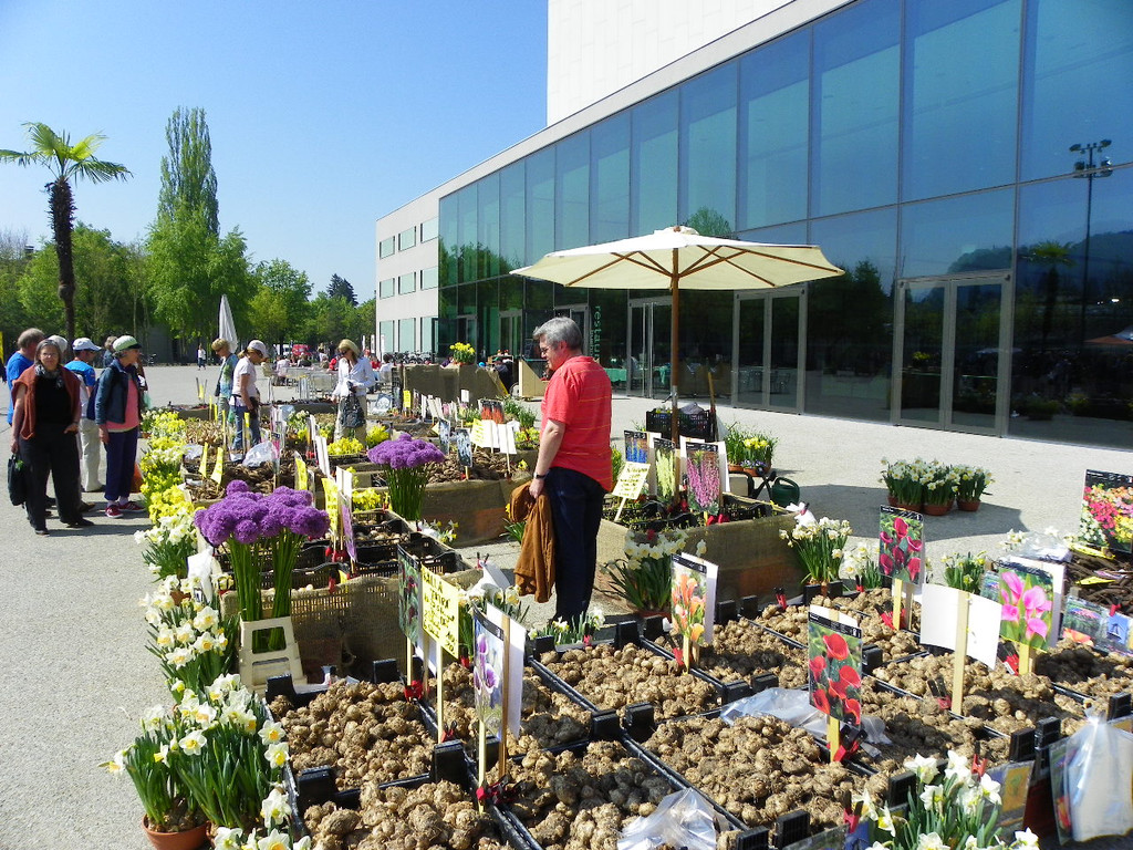 110_3662_JPG-1303775659