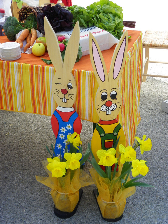 110_3663_JPG-1303775666