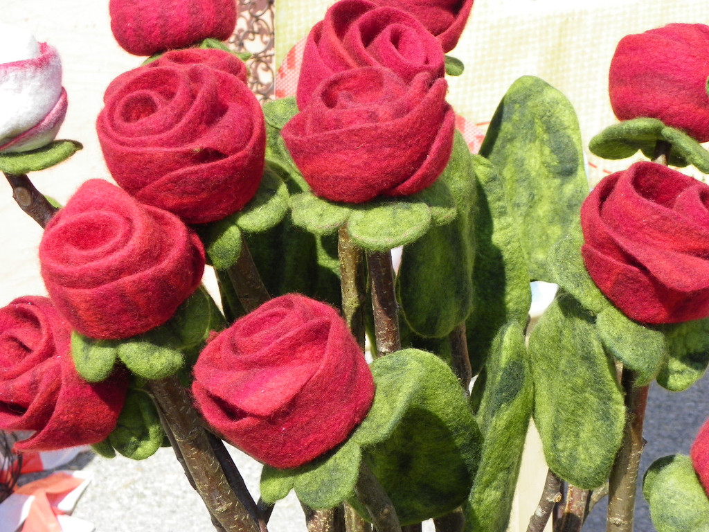 110_3678_JPG-1303775674