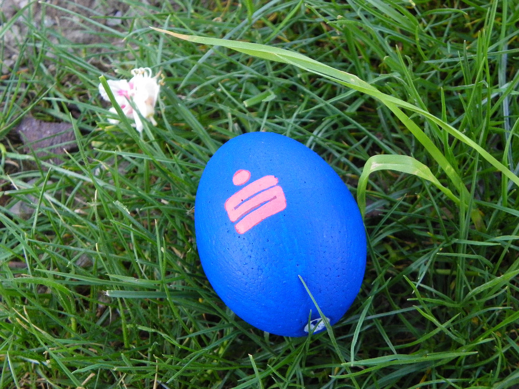 110_4087_JPG-1303776719