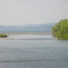 110_4972_JPG-1303777306