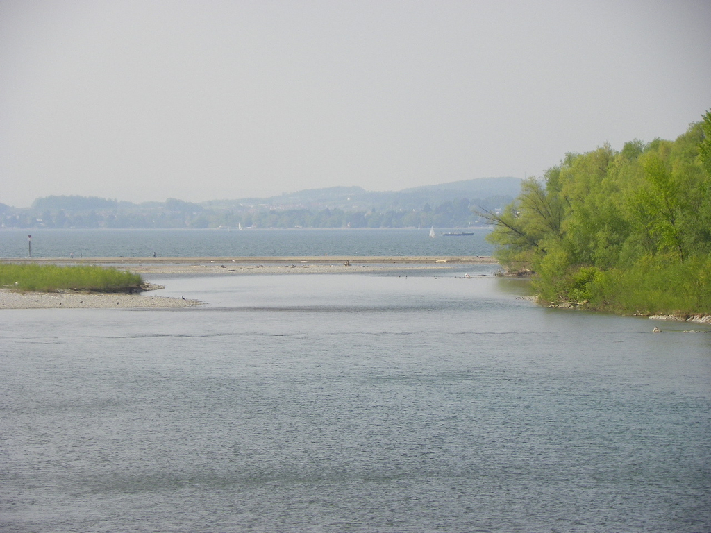 110_4972_JPG-1303777306