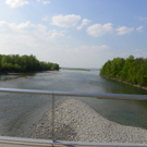 110_4951_JPG-1303777269