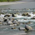 110_4963_JPG-1303777292