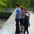 110_4964_JPG-1303777299