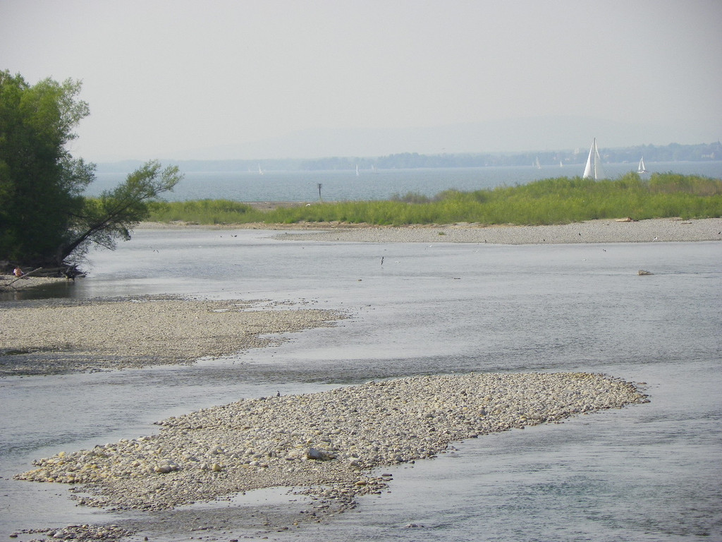 110_4973_JPG-1303777313