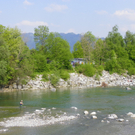 110_4986_JPG-1303777327