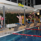 IMG_4464_Gr____enver__nderung.JPG