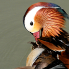 DSC_9025.JPG