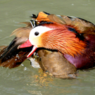 DSC_9031.JPG