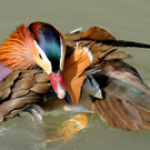 DSC_9033.JPG