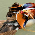 DSC_9034.JPG