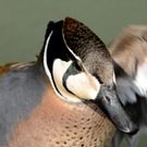 DSC_9114.JPG