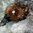 DSC_9133.JPG