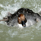 DSC_9136.JPG