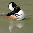 DSC_9172.JPG