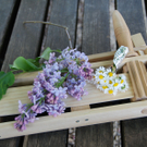 ratsche_jpg-1303823046